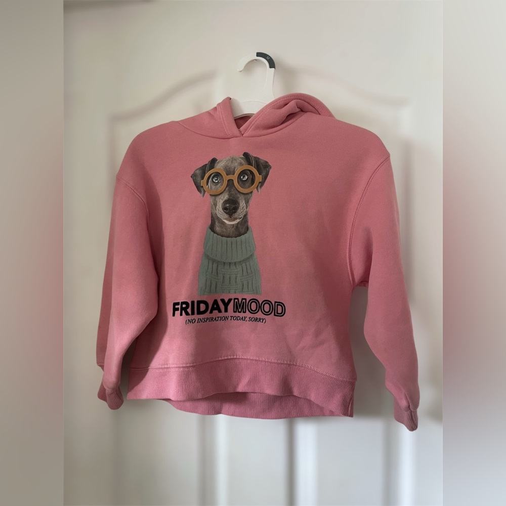 ZARA Little girl sweater